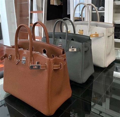 barking bag price